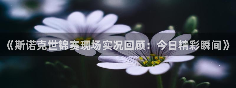 919直播足球版本1.0.7