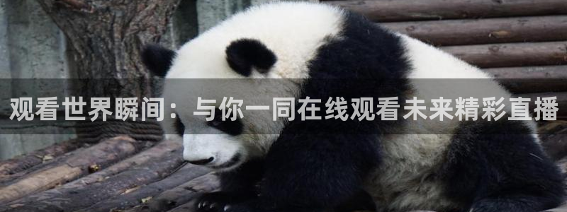 足球直播919：观看世界瞬间：与你一同在线观看未来精彩直播