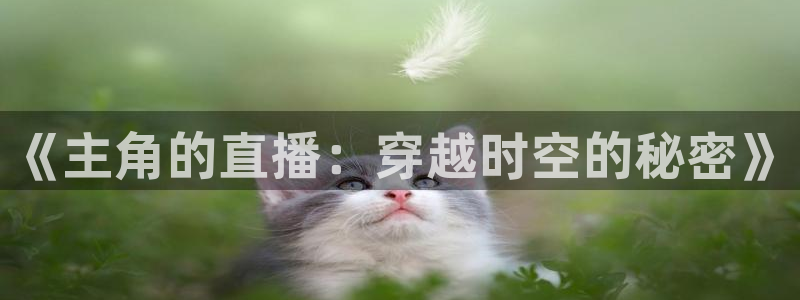 919直播足球：《主角的直播：穿越时空的秘密》