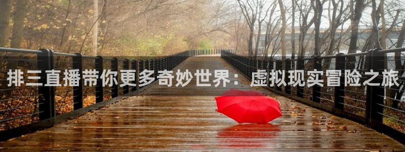 919nba直播看球观看：排三直播带你更多奇妙世界：虚拟现实冒险之旅
