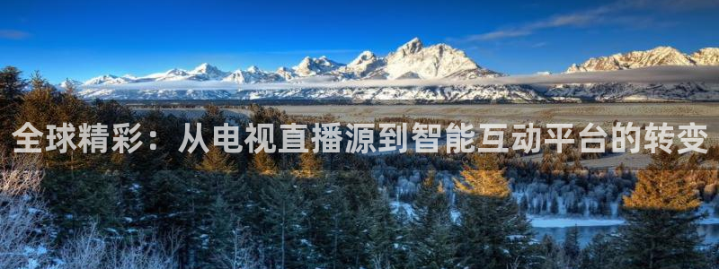 919足球直播 01篮球直播：全球精彩：从电视直播源到智能互动平台的转变