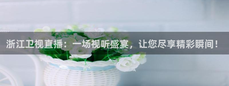 919nba直播看球观看：浙江卫视直播：一场视听盛宴，让您尽享精彩瞬间！