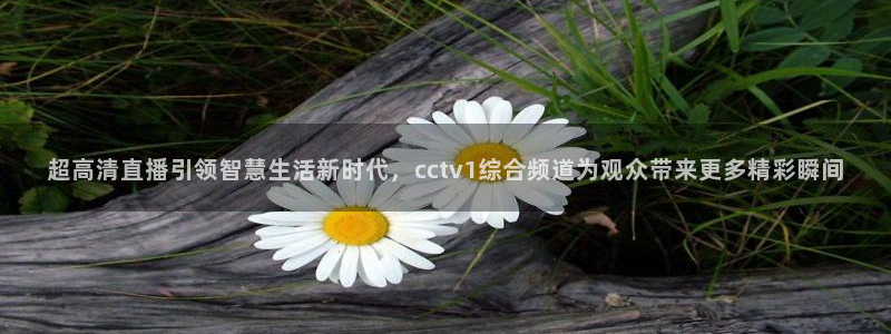 919体育专业直播平台：超高清直播引领智慧生活新时代，cctv1综合频道为观众带来更多精彩瞬间